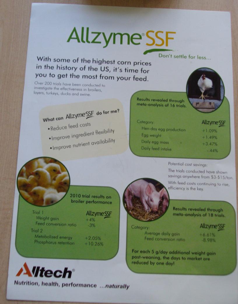 el ilanı föy flyer el ilanı föy flyer tasarımı 